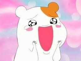0002049103 8c81192a