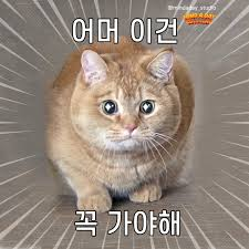 0029328020 5be1461b