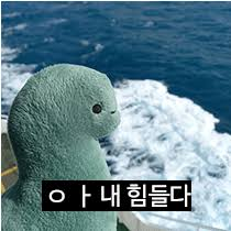 0254533060 bae9fa44