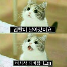 0928507388 b4c878d5