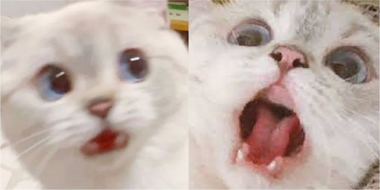 1551338657 01138809