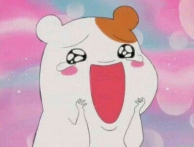1633428874 bb647258