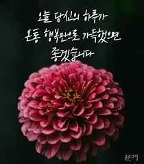 1705008147 1146ae9f