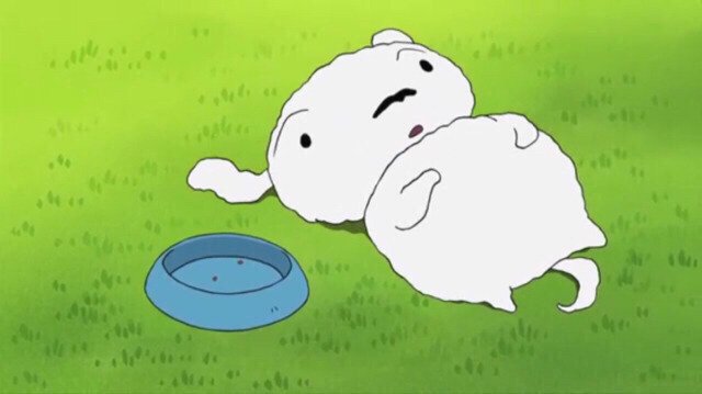 2006564847 4289dcae
