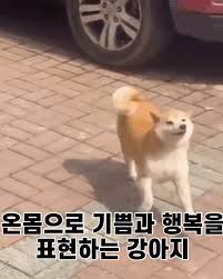 2105141442 ba0ee297