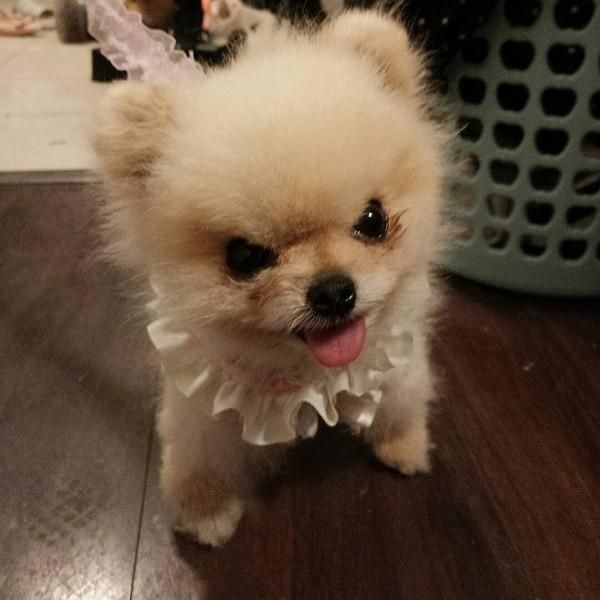 2200164355 d880213e