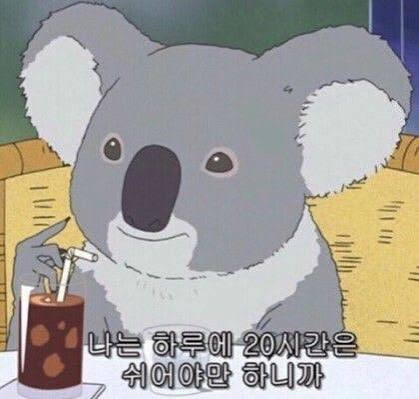 2354061375 093e273e