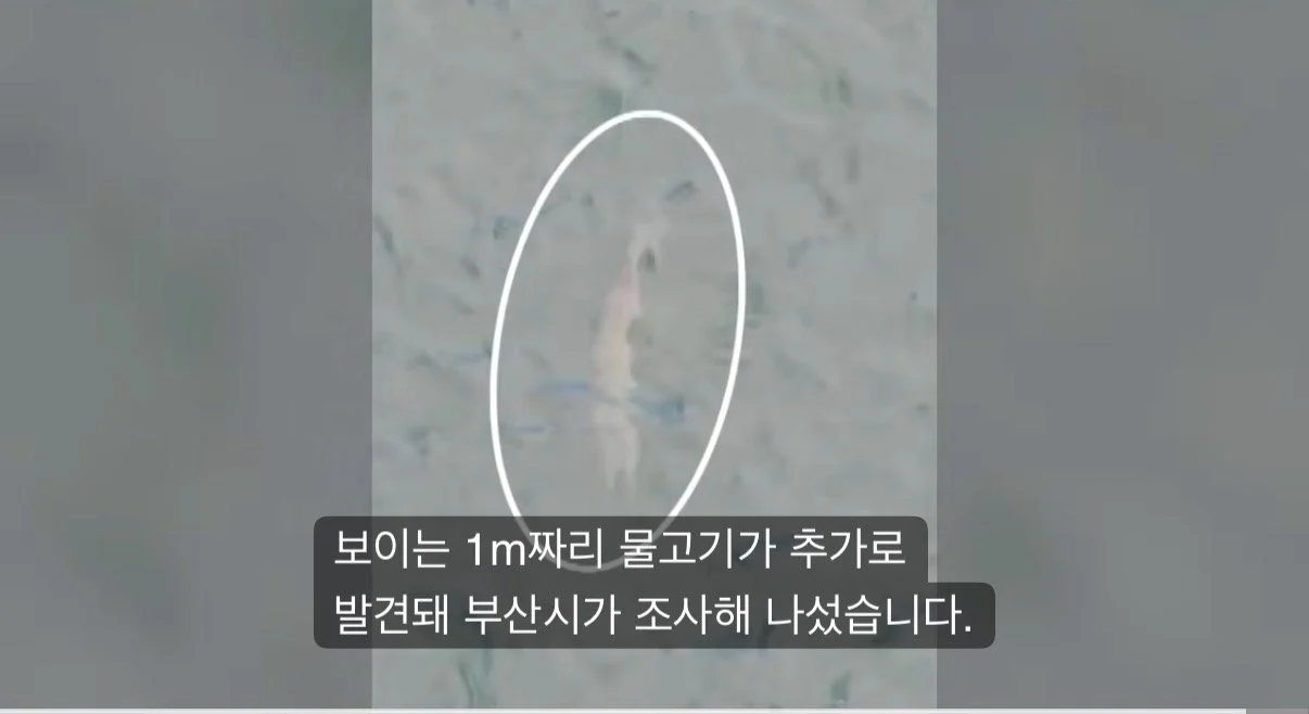 0027304942 cb9b511e