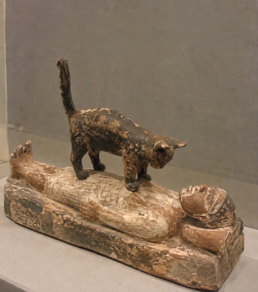 0034364176 f56b4f83