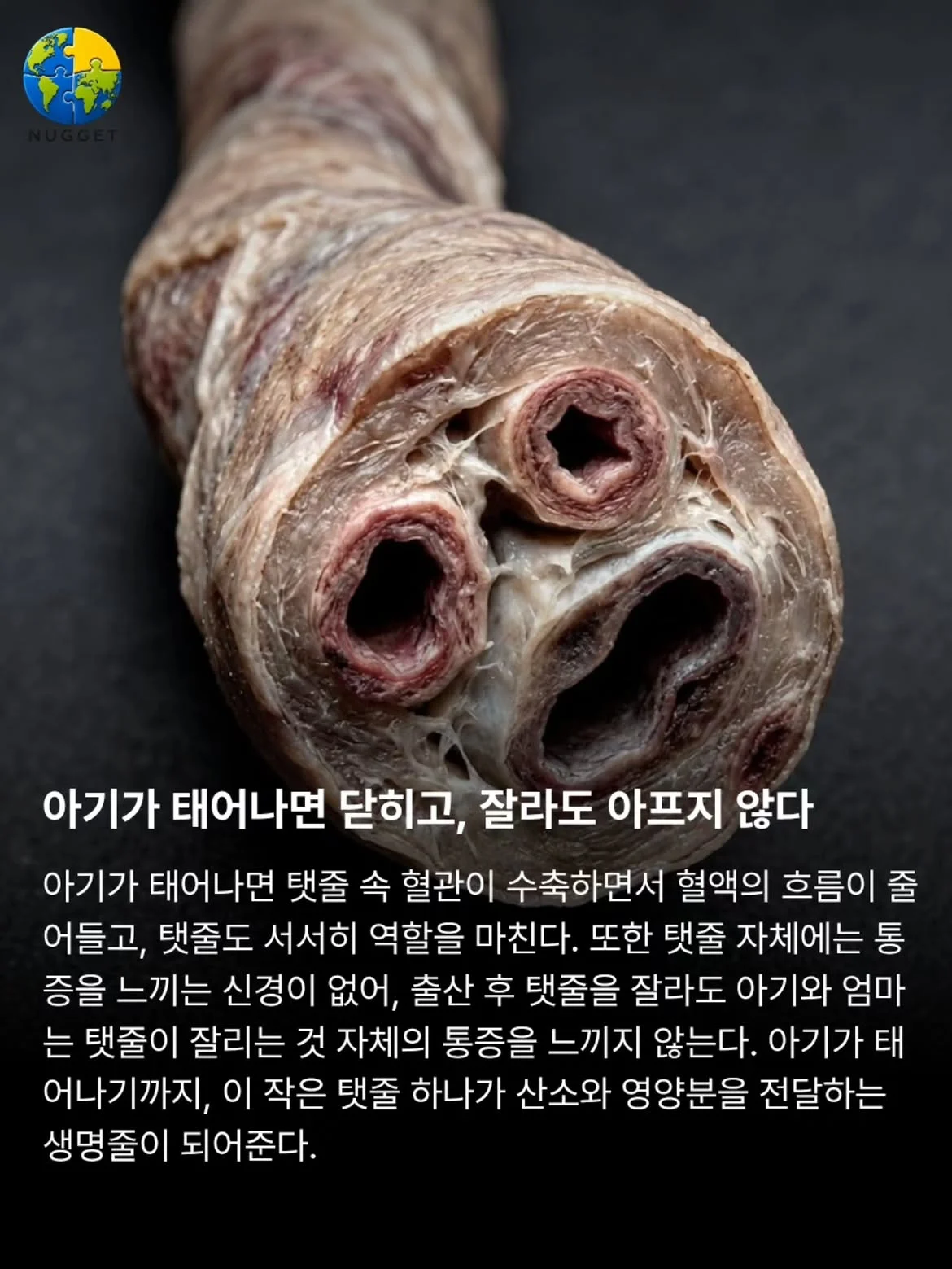 0050566039 d650bf5e