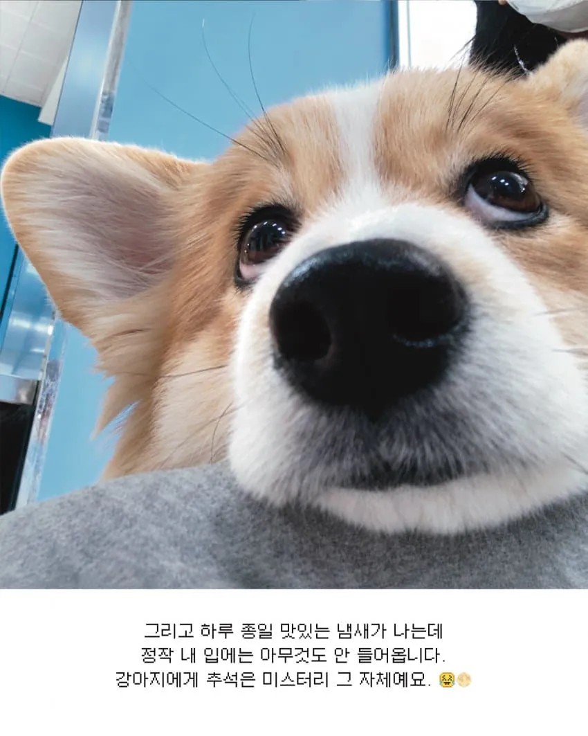 0109060259 618157ee