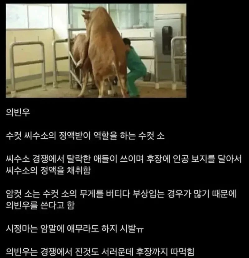 0253018665 5bb648f9