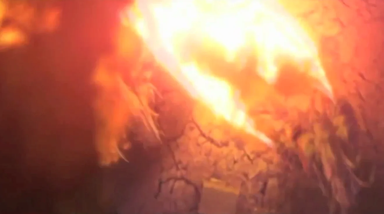 0400427910 51522921