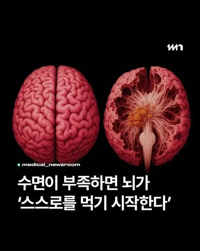 0427008519 cc59892a