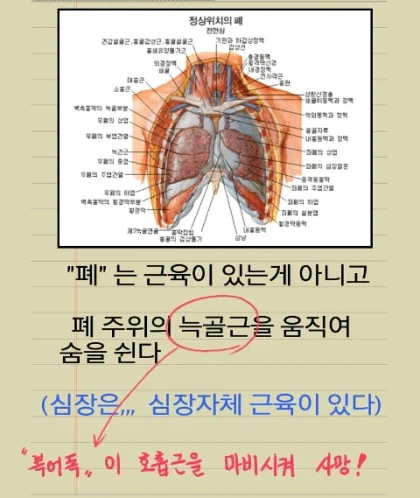 0428305509 11a3198b