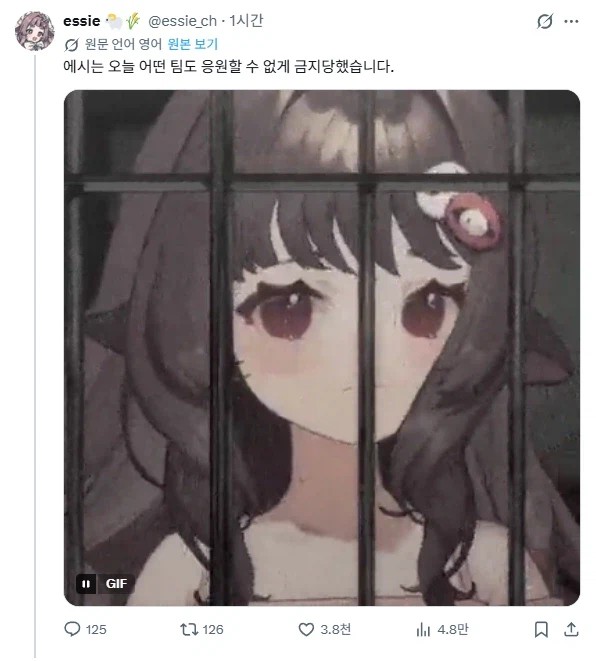 0616101336 6f2062d8