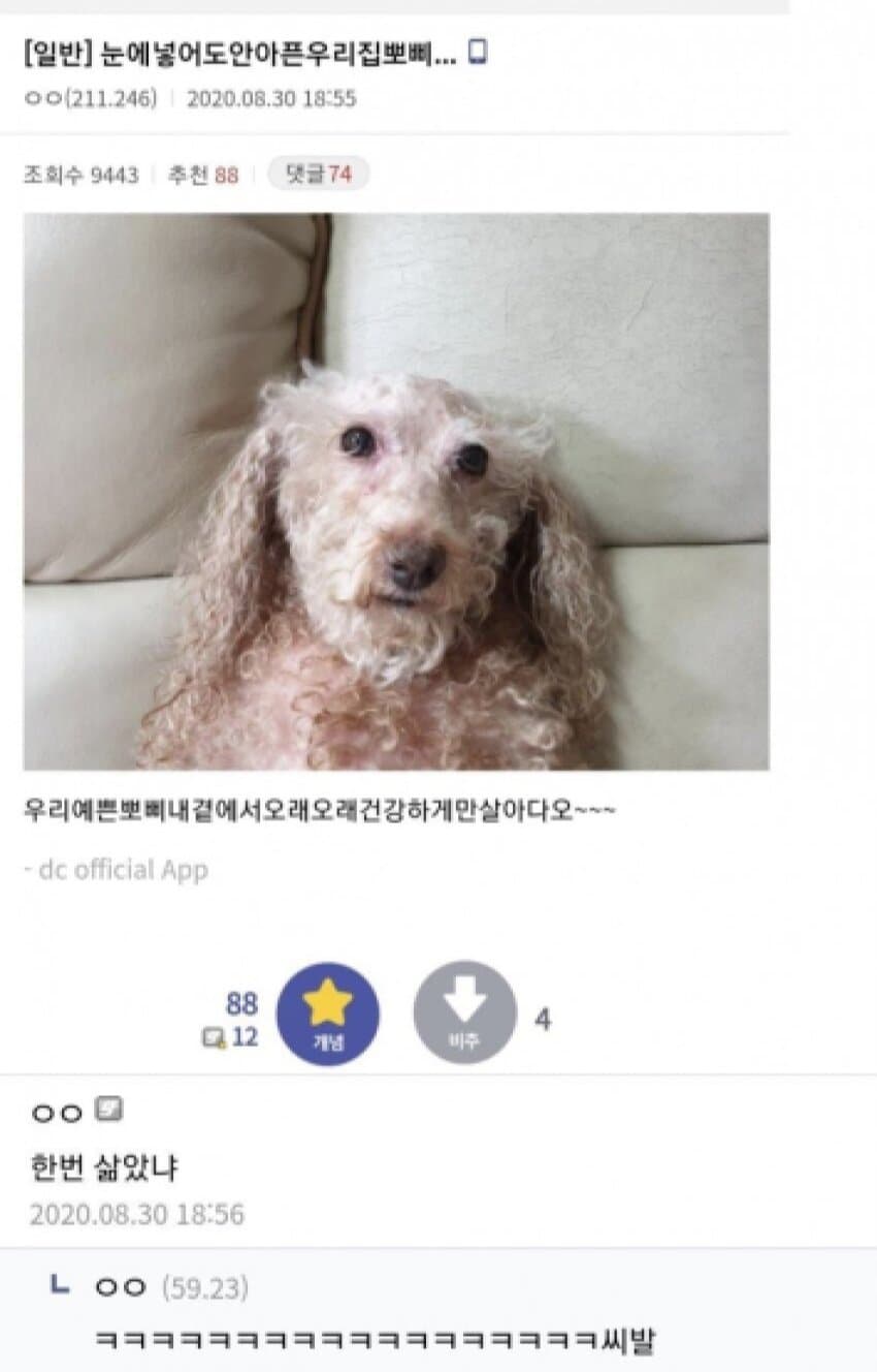 0917351020 3d4a96da