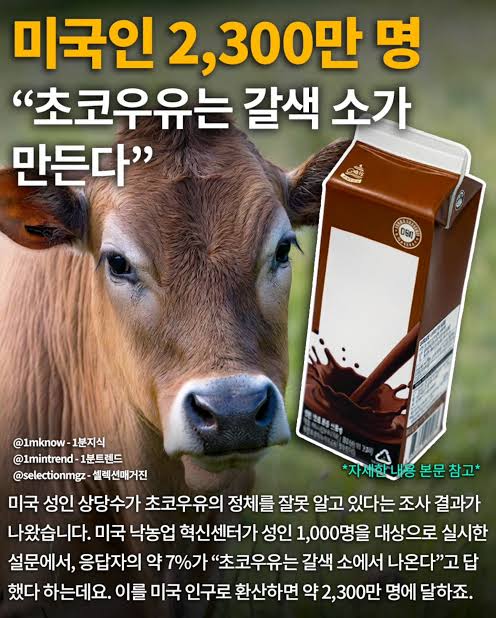 0917408297 e81a7347