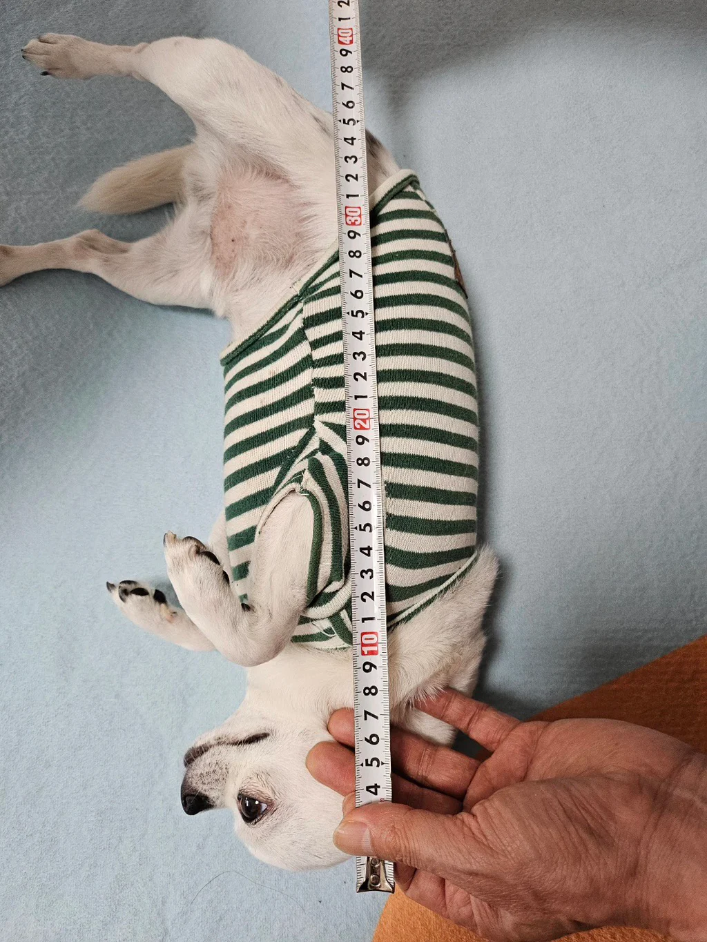 1002043481 7706485d
