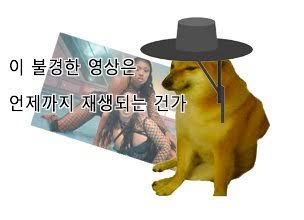 1011075453 b6195cfd