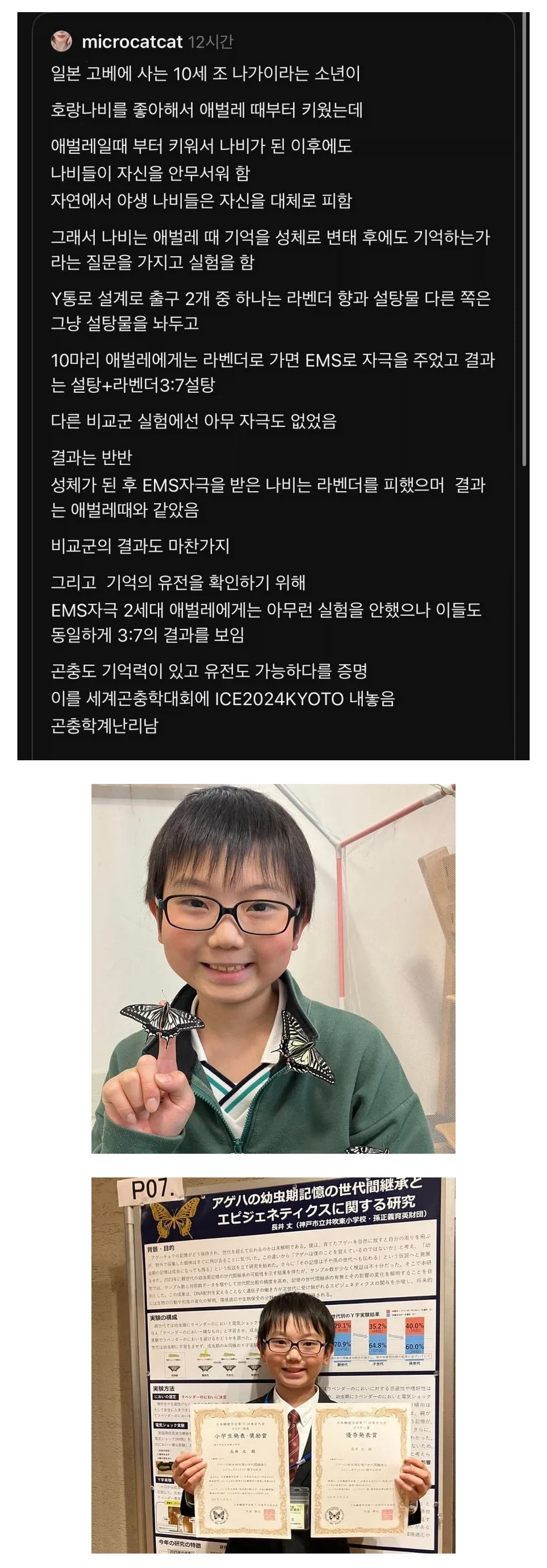 1028460080 53c8d54a