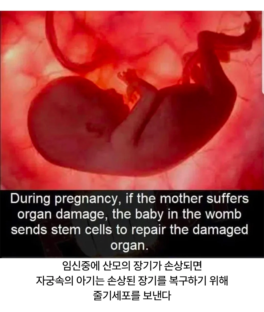 1030577230 0ef91a23