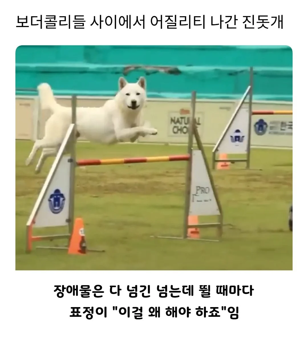 1031052228 573cad73