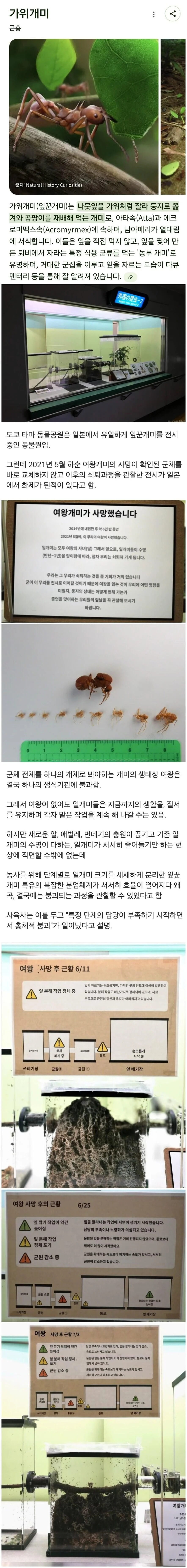 1059078300 bc204aa6