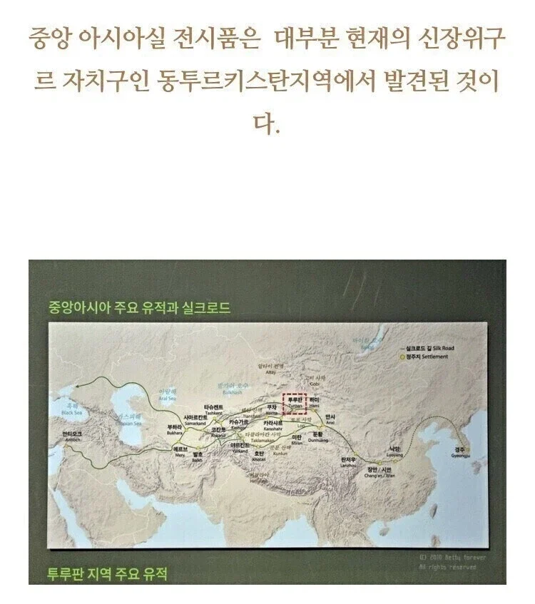 1113183925 146e3109