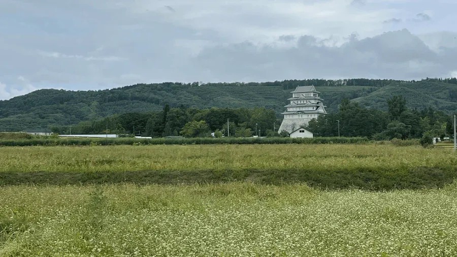 1131205463 f919221d