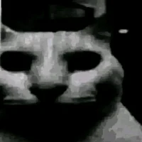 1159113641 925e1507