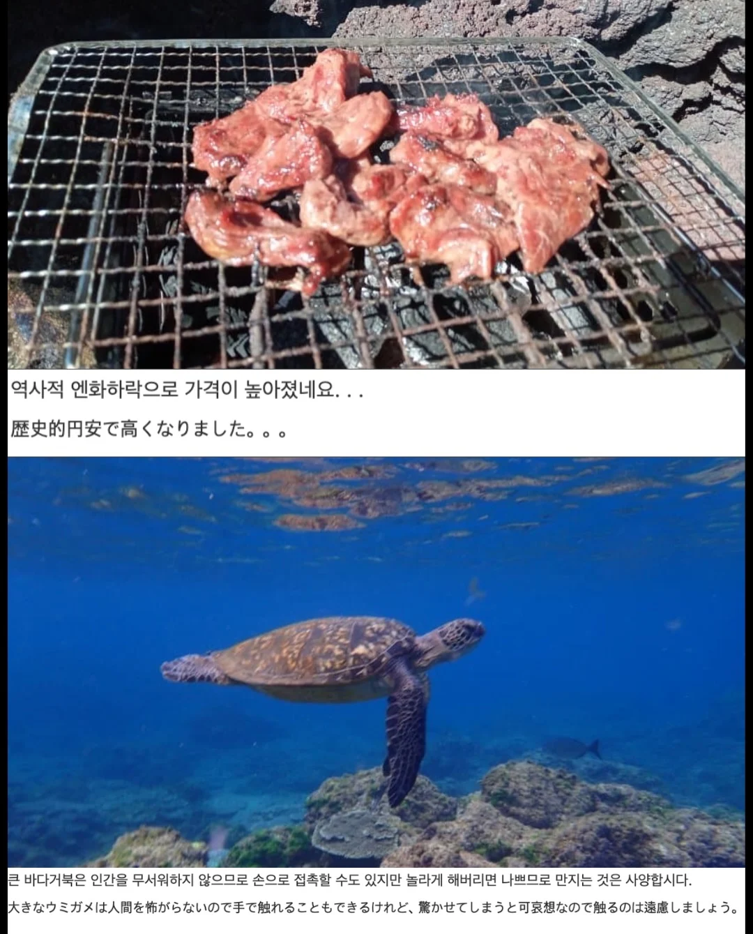 1219479332 a40199c7