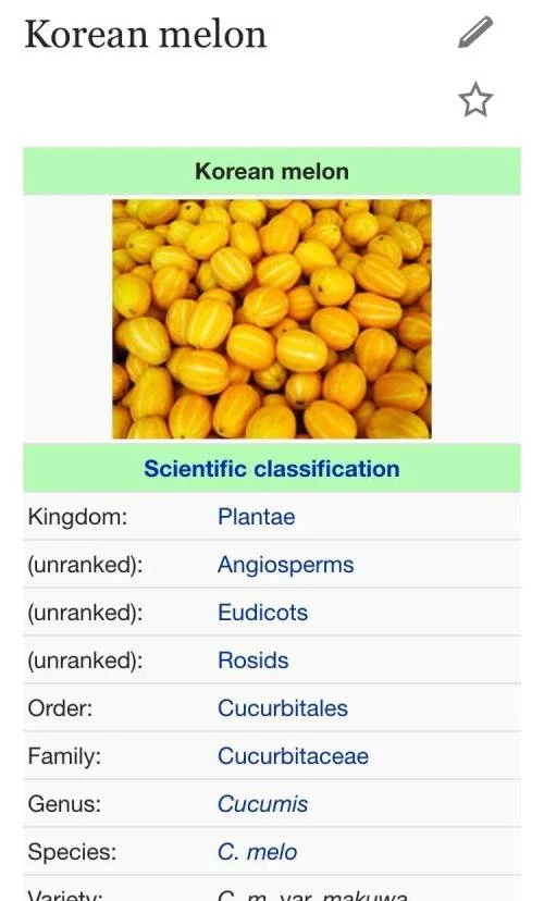 1238329102 6b979238