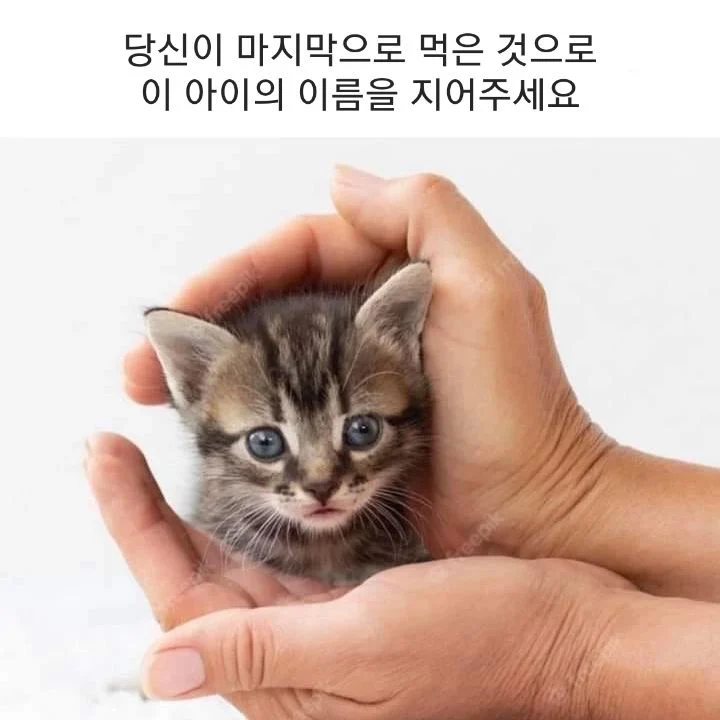 1304338681 fa31e112