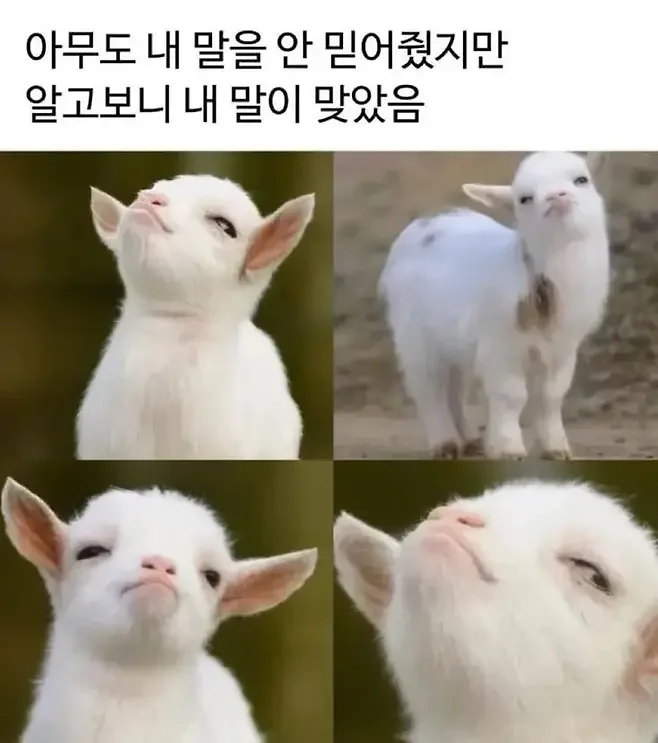 1307024723 2f3cf0cc