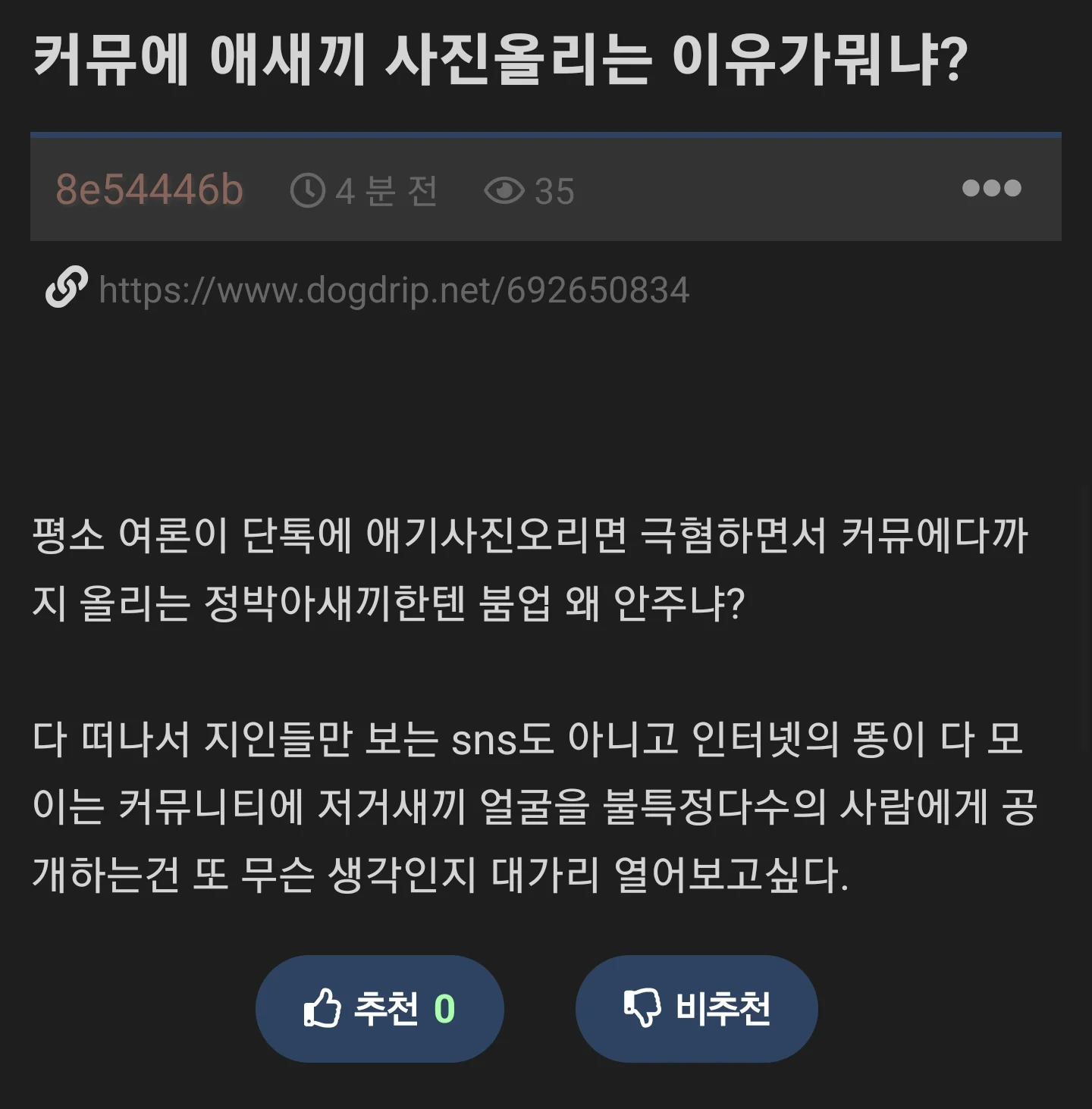 1315076128 bf416ebe