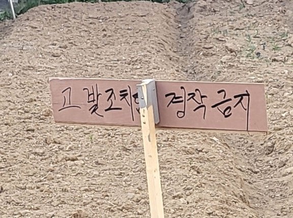 1350295785 4d1030af