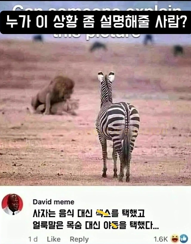 1352090036 5778a2f0