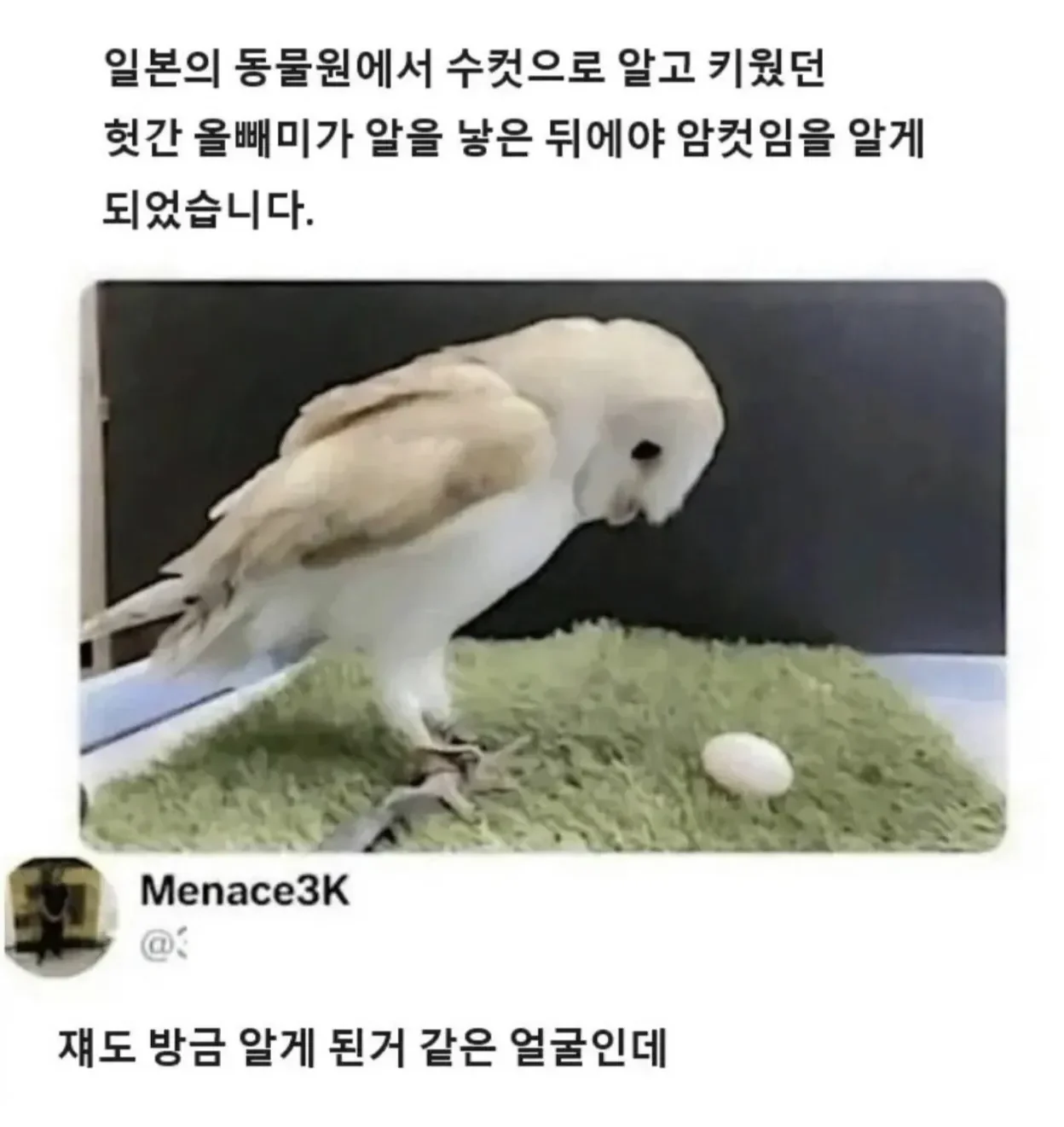 1425456920 f4b899bb
