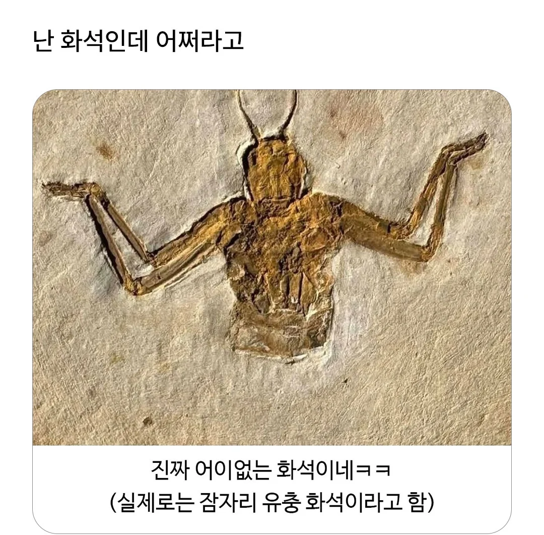 1438570274 6a597552
