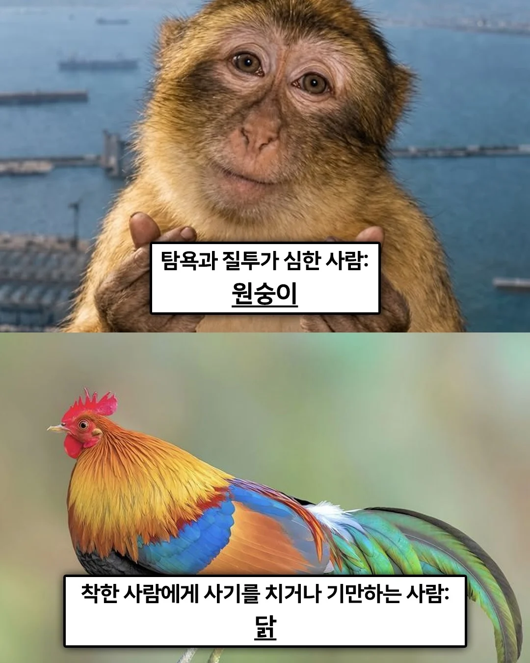 1501231117 490dceb9
