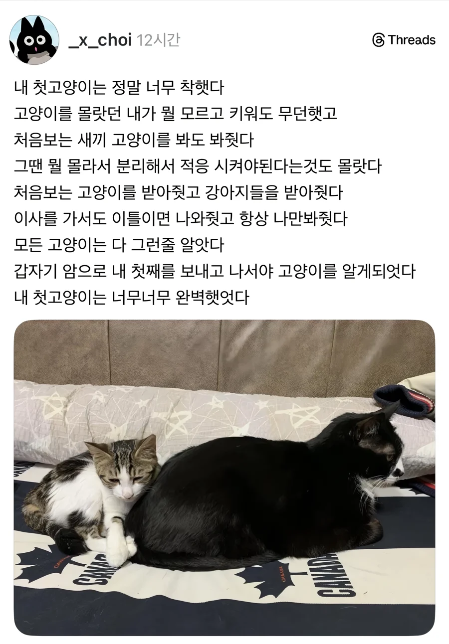 1502429355 18084e09