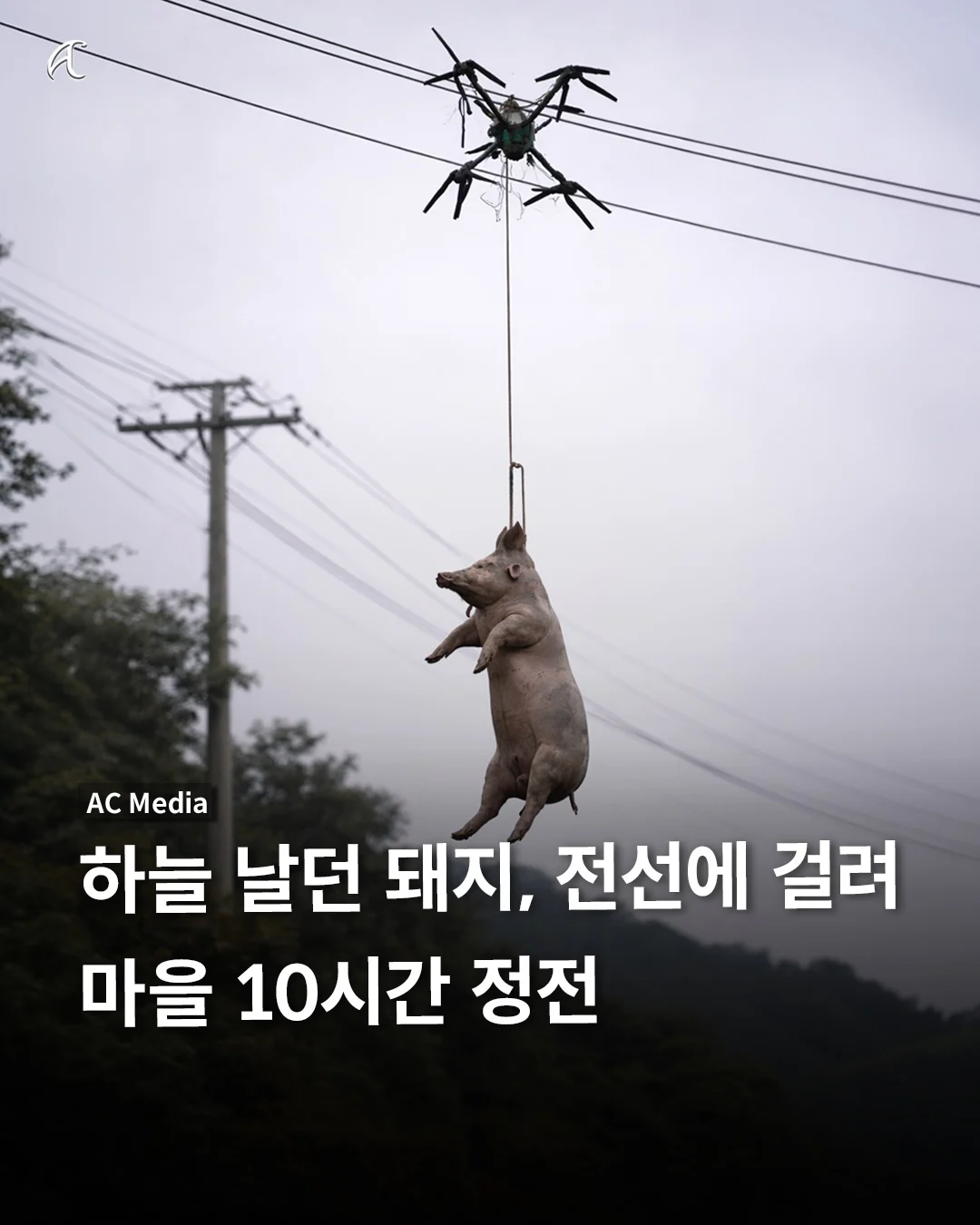 1508002508 3cad06a4