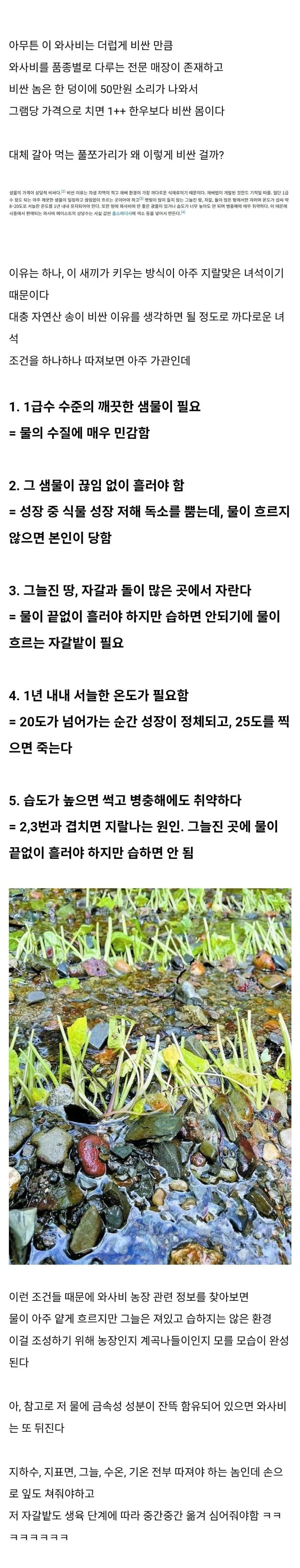 1516215240 29454268