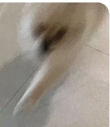 1517189586 b4641888
