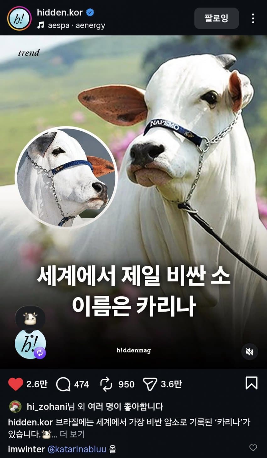 1528000911 cb017478