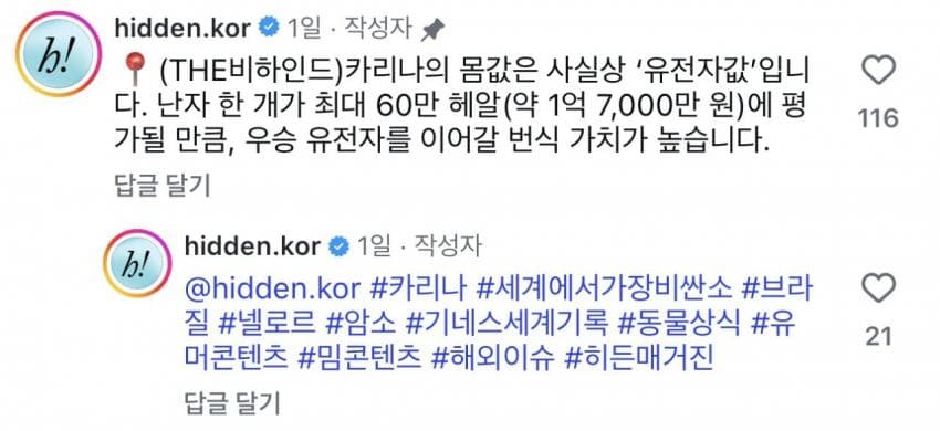 1528019033 20dc7cc8
