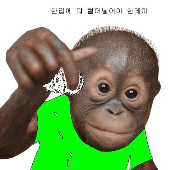 1529325339 c2516847