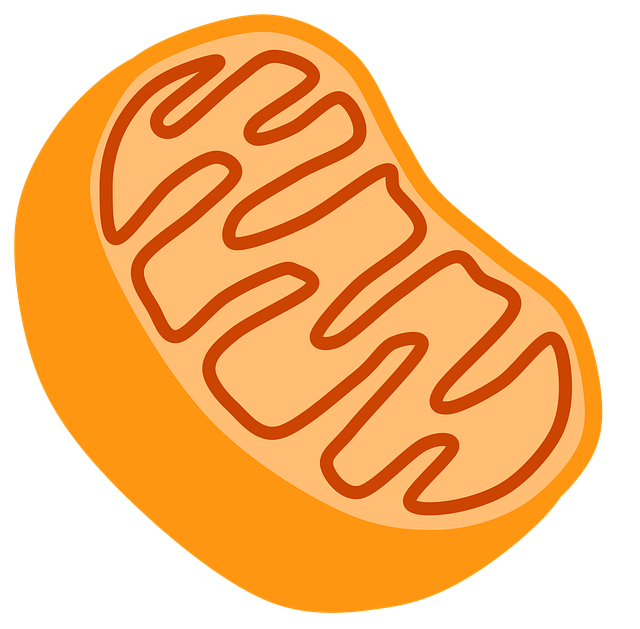 1530585550 7e3fe64b