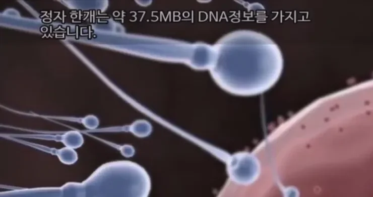 1531132382 dc738549